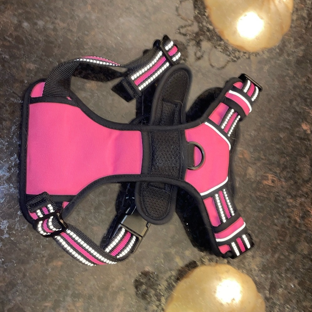 Dog Harness